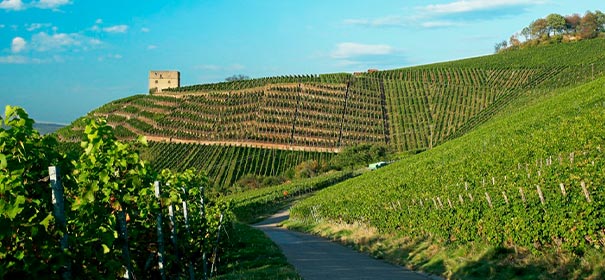 Weingut Lagen